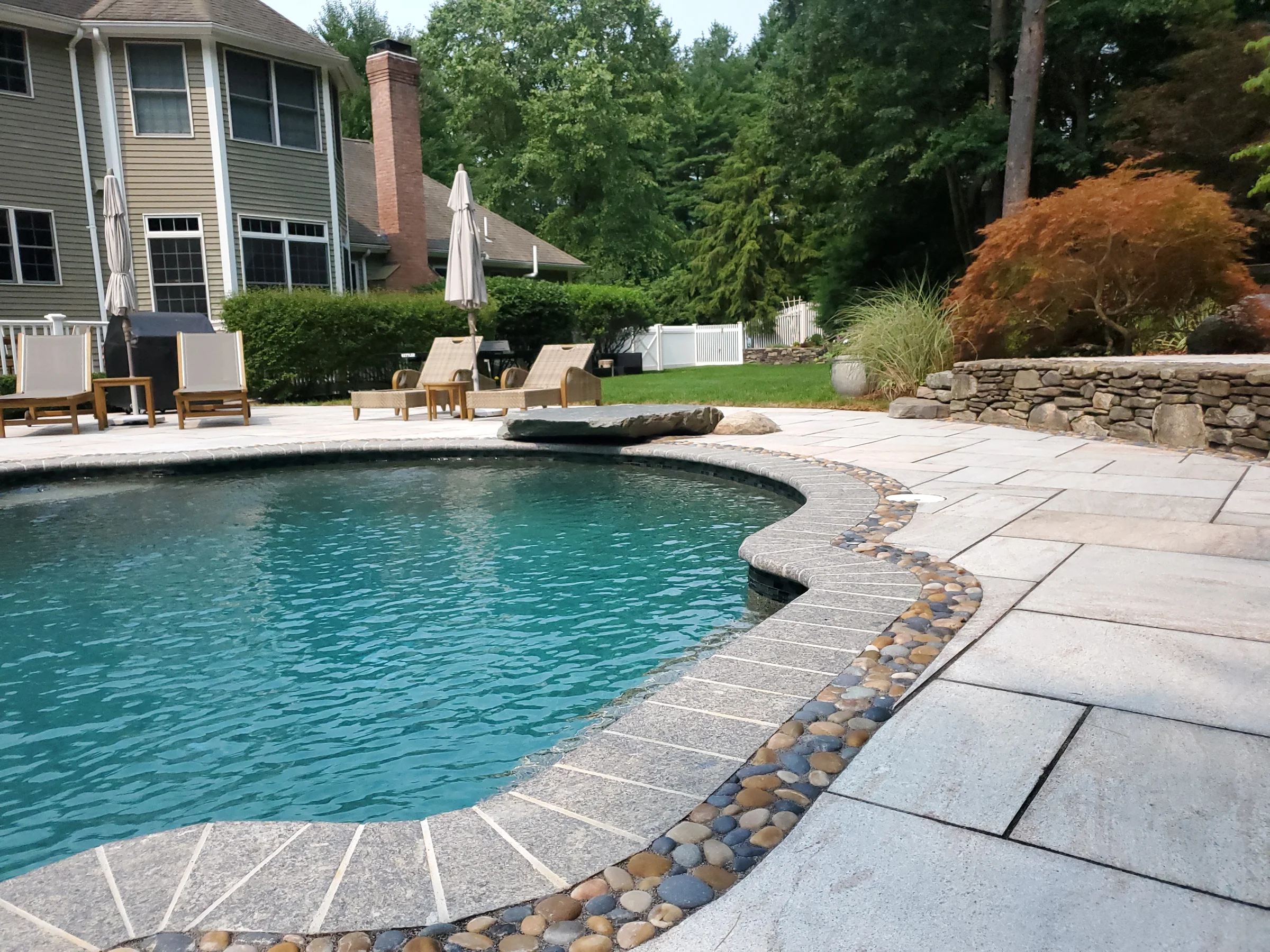 Backyard pool framed by pale paving and mature plantings