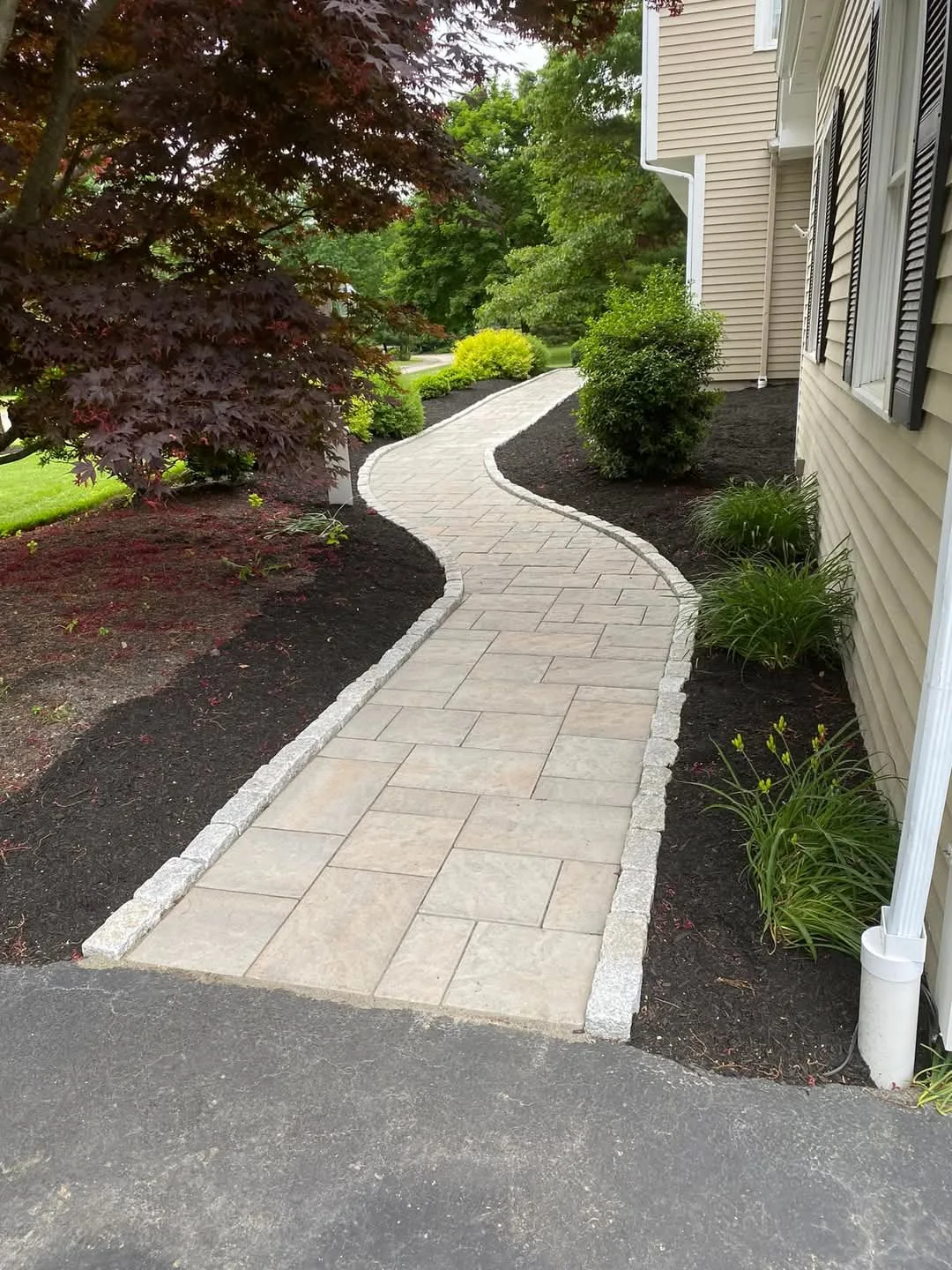 Narrow garden walkway with a crisp paver edge