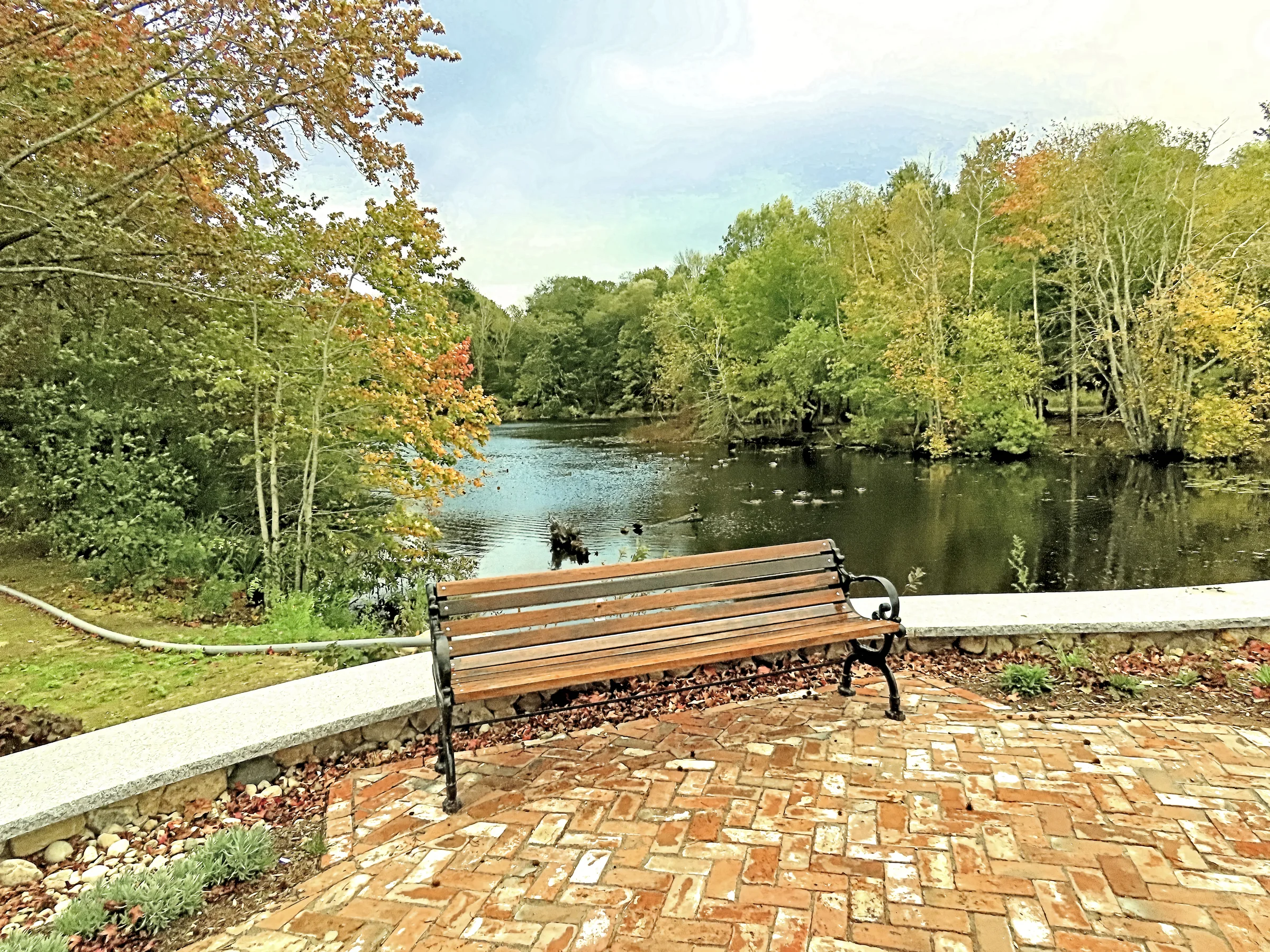 Waterside overlook with a bench, brick paving and mature trees