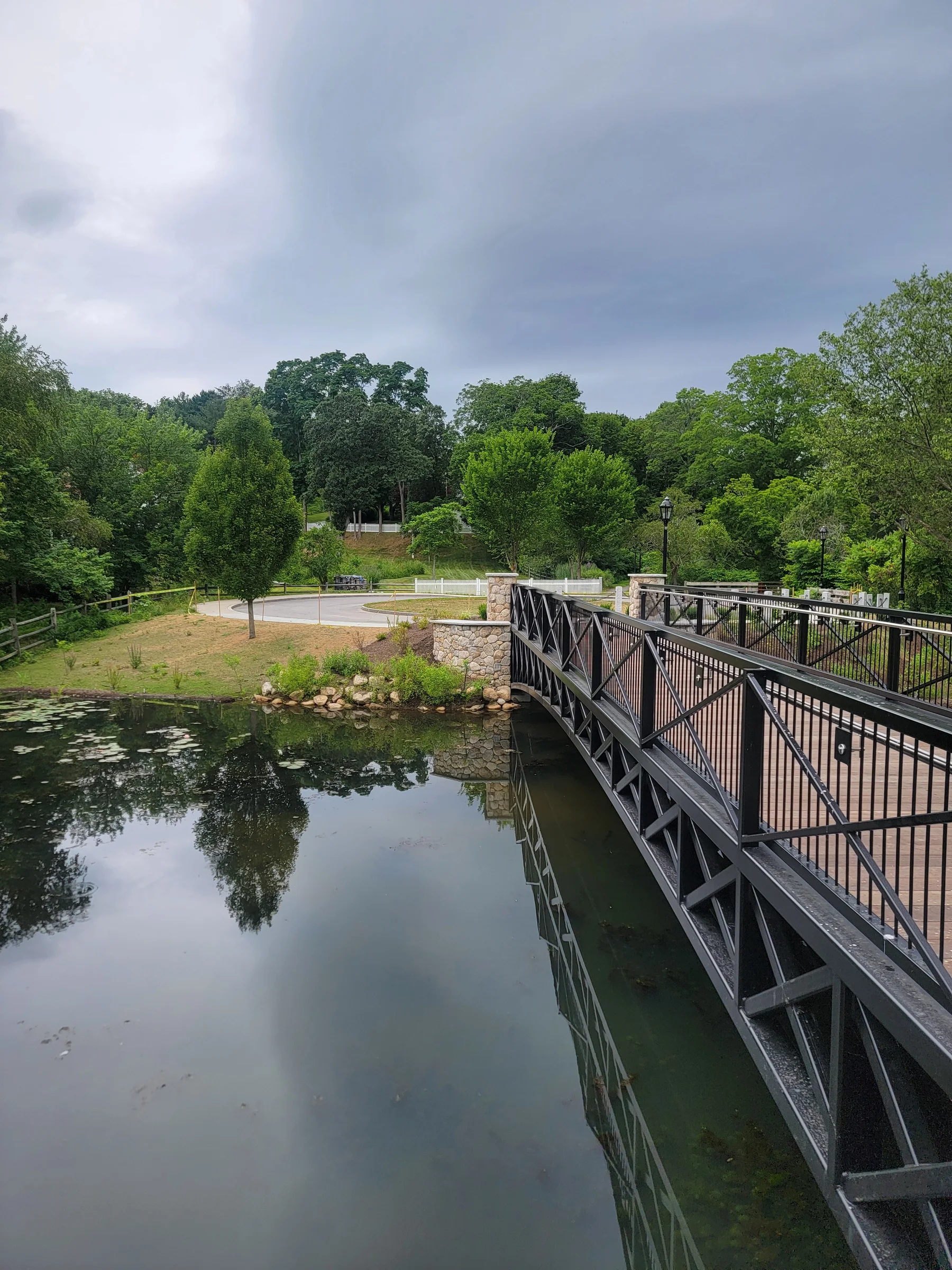 Footbridge with black railings crossing a tree-lined pond